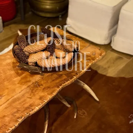 Pesculum Nel Borgo *